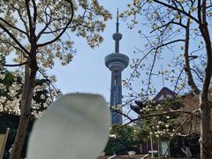 -南京古林公园