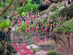 -桃花涧