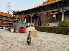 -大悲禅寺