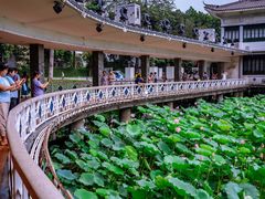 -荔湾湖公园