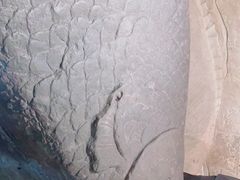 -白鹤梁水下博物馆