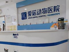 -爱诺动物医院(崂山店)