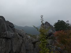 -千岛湖石林