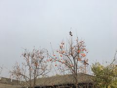 -中国人民抗日战争纪念馆