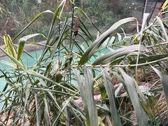 -上海大自然野生昆虫馆(东方明珠·爬宠昆虫探索中心)