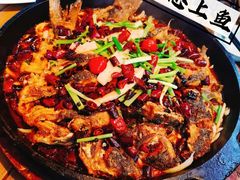 -老板恋上鱼(恒隆广场店)