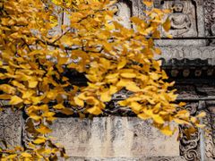 -北京石刻艺术博物馆(五塔寺)