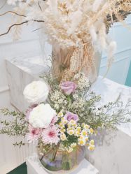 -YESIDO椰岛美容