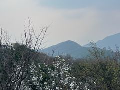 -香山公园