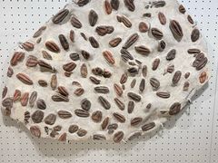 -辽宁古生物博物馆