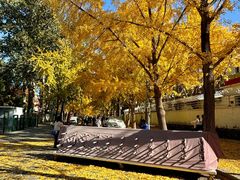 -婕妮璐超市 Jenny Lou’s Shop(三里屯店)