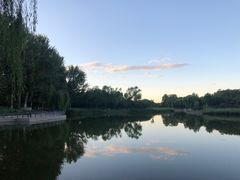 -大兴滨河森林公园