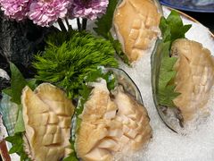 -鲐赏河豚(长寿店)