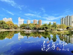 -和平公园