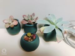 -李村大集