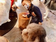 -more than meow吴止猫主题餐厅(承德 中船汇店)