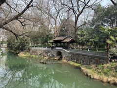 -红梅公园