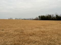 -上海国际音乐村