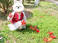 -晓港公园