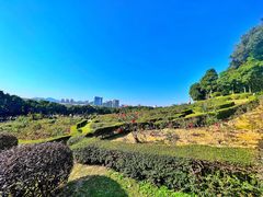 -紫马岭公园