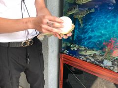 -肆月河豚·新淮扬(金融街店)