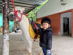 -重庆和泰马术俱乐部