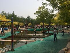-杨柳青庄园