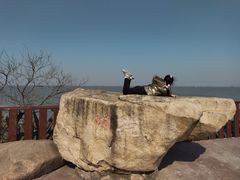 -上海滨江森林公园