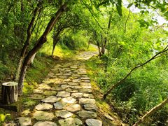 -盘龙城国家考古遗址公园