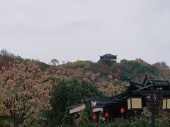 -府山公园