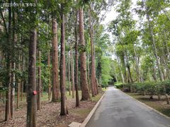 -中国科学院西双版纳热带植物园