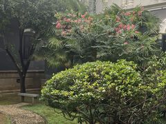 -湖南省立第一师范学校旧址