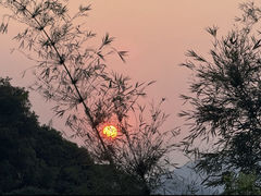-天鹿湖森林公园