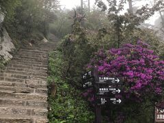 -尧山风景区