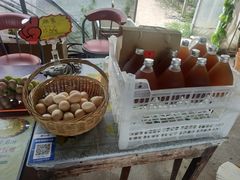 -马陆小张葡萄园农家乐