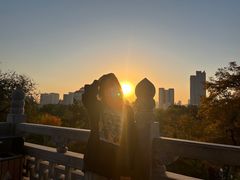 -迎泽公园