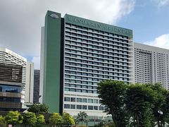 -新加坡文华东方酒店