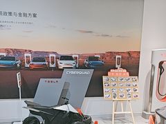-TESLA 特斯拉(北京颐堤港体验店)
