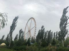 -阅海欢乐岛