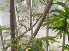 -时间仓(月湖公园店)