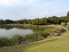 -尚贤河湿地