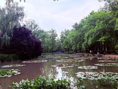 -洛阳市隋唐城遗址植物园
