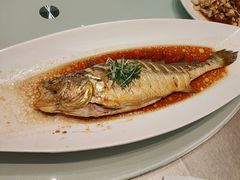 清蒸黄花鱼-老德州四合院·德州菜(天衢路店)
