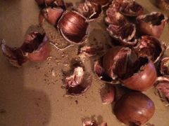 -金栗王(清扬路店)