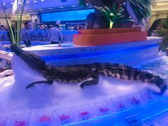 -澜悦港海鲜体验主题餐厅