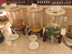 -重庆长寿碧桂园凤悦凤凰酒店