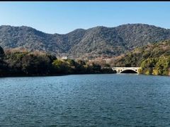 -杭州半山国家森林公园