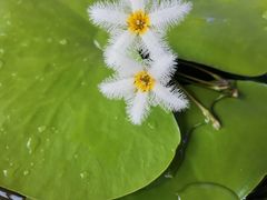 -金科花卉市场