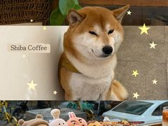 -三目仓咖啡(贤南路店)