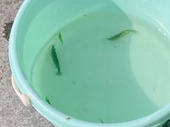 -苏州河梦清园环保主题公园